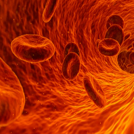Image d'illustration de l'actualité sur la publication de l'article sur les rétractations d’articles en Médecine dans The British Medical Journal (BMJ)